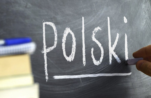 Kurs on-line dla ósmoklasity - język polski