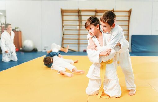 judo - sztuki walki