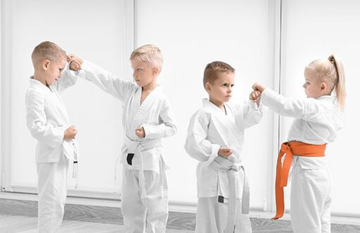 Karate - sztuki walki